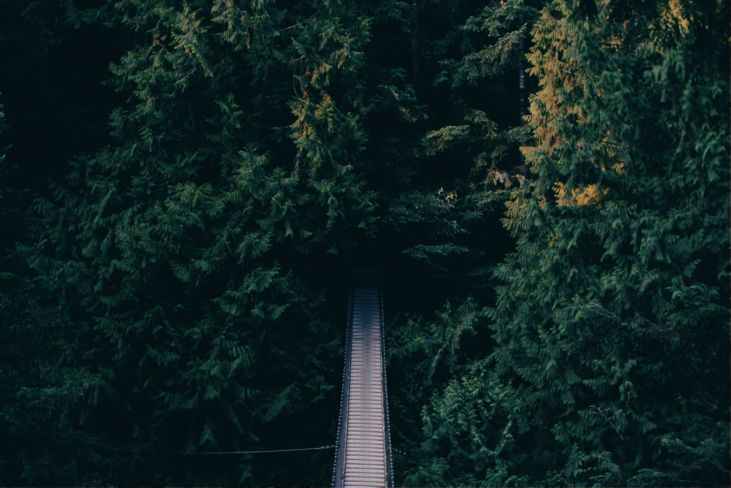DON’T LET THE DETAILS STOP YOU (PODCAST)