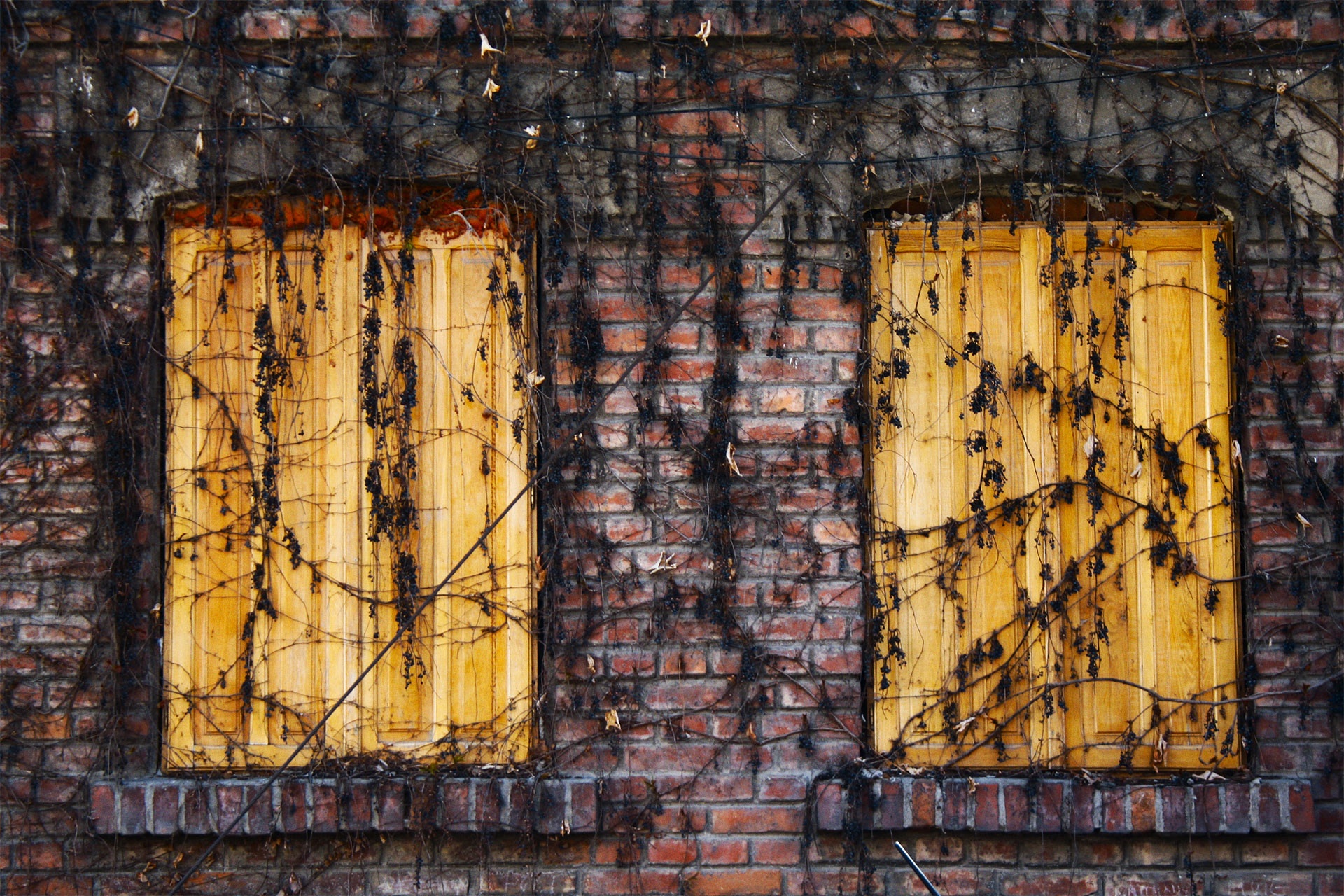 The Danger of Low Expectations (Podcast)